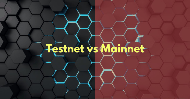 testnet vs mainnet